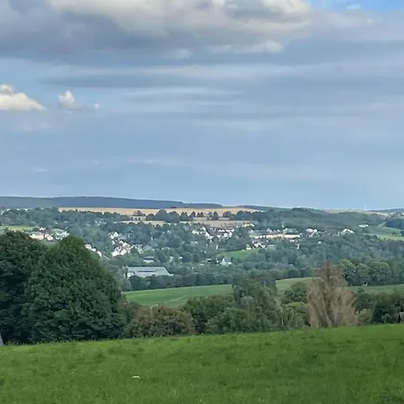Ferienwohnung Greifenbach, Gartennutzung, Haustiere Willkommen Geyer Экстерьер фото