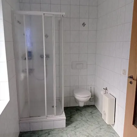 Ferienwohnung Greifenbach, Gartennutzung, Haustiere Willkommen Geyer Экстерьер фото