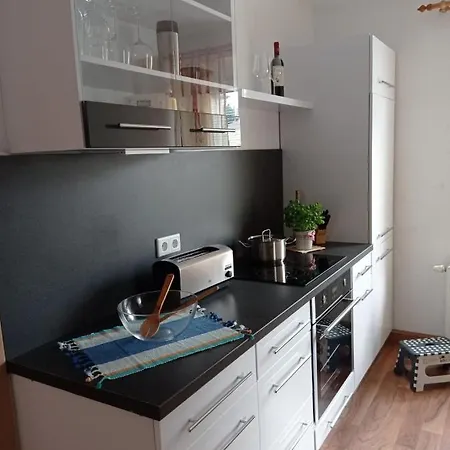Ferienwohnung Greifenbach, Gartennutzung, Haustiere Willkommen Geyer Экстерьер фото