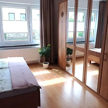 Ferienwohnung Greifenbach, Gartennutzung, Haustiere Willkommen Geyer Экстерьер фото