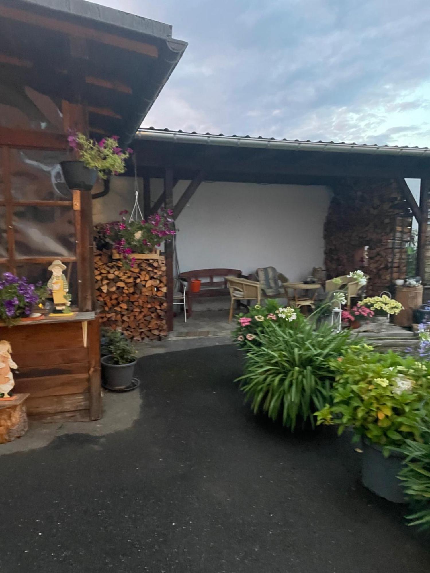 Greifenbach, Gartennutzung, Haustiere Willkommen * Geyer